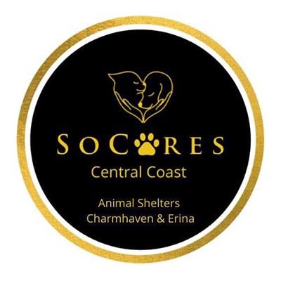 donate storage to SOCARES animal care facilities central coast